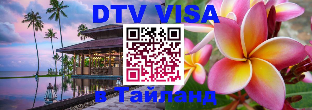 Оформление DTV визы под ключ: стоимость и тарифы, только загранпаспорт - 